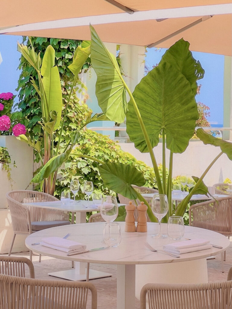 Terrasse végétalisée du restaurant La Table de Pineto, tables dressées sous les palmiers, bord de mer, Biguglia, Corse